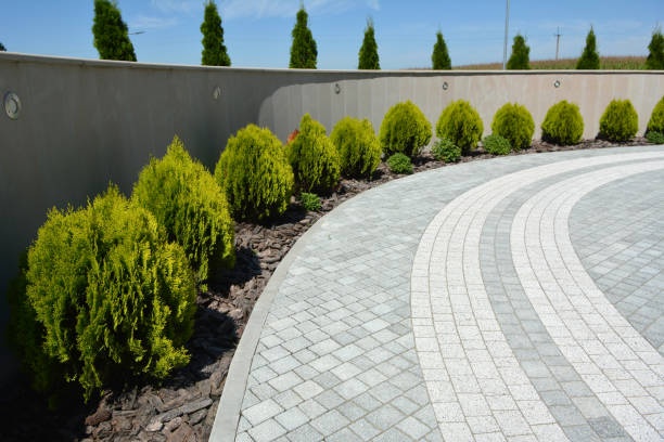 Best Custom Driveway Pavers  in Pleasant Valley, MO